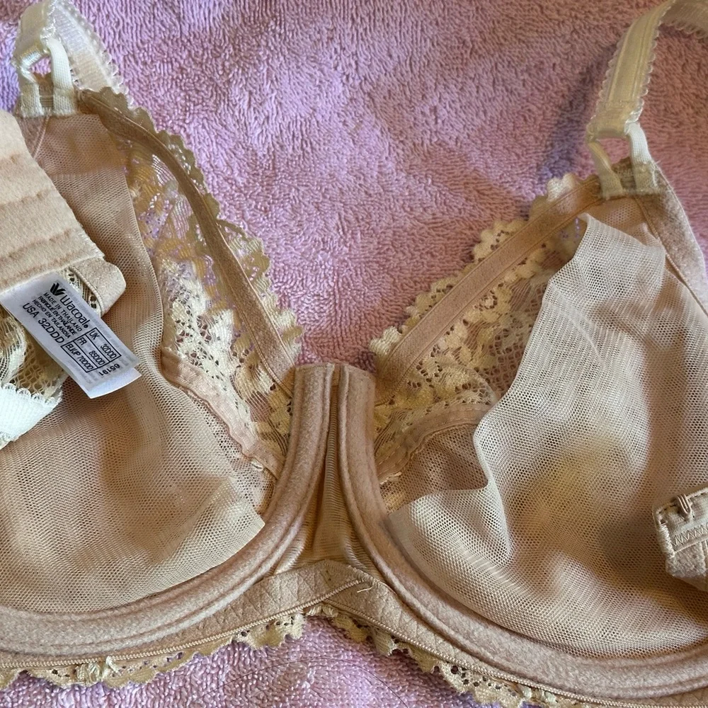 Wacoal Cream Lace Underwire Bra with Scalloped Edges - Picture 7 of 10